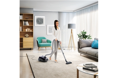 Aspirator cu sac Electrolux EEG42EB